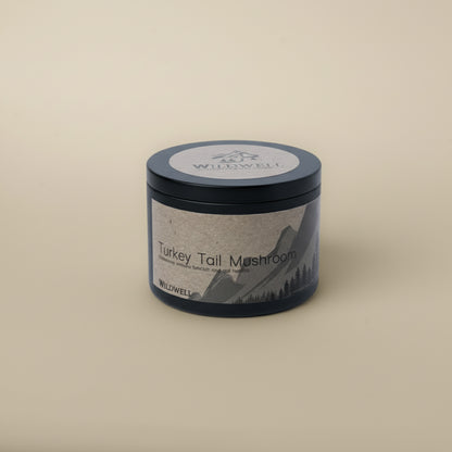 Turkey Tail Mushroom