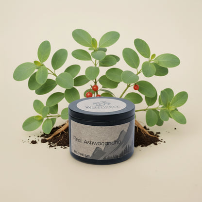 Real Ashwagandha